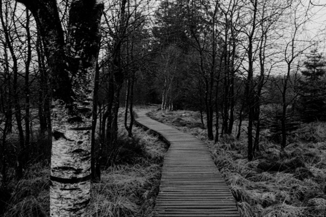 Film photography
