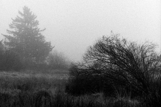 Film photography