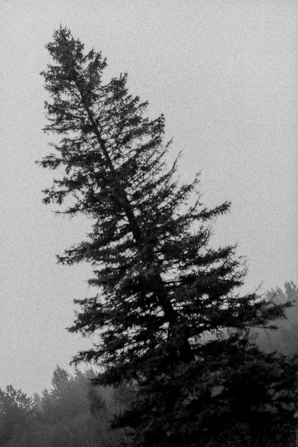 Film photography