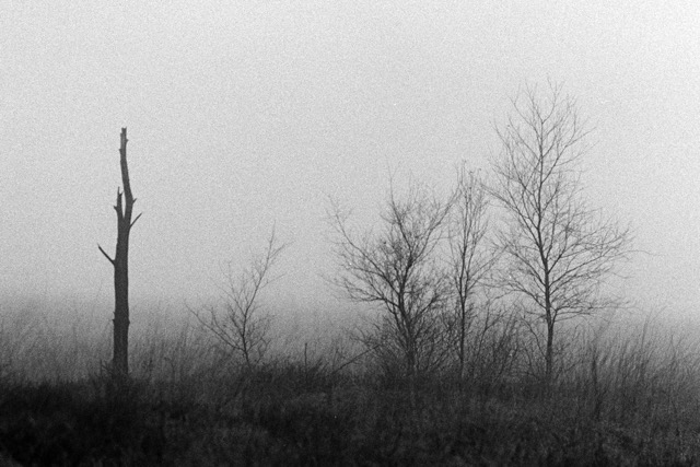 Film photography