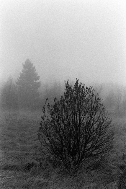 Film photography