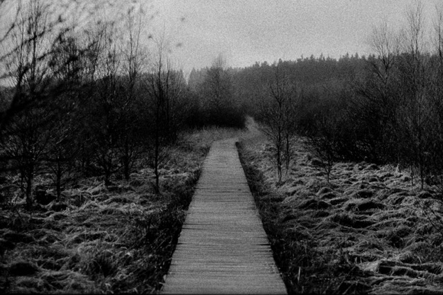 Film photography