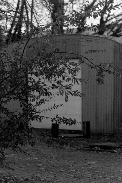 Film photography